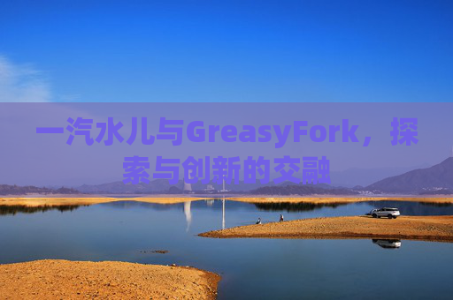 一汽水儿与GreasyFork，探索与创新的交融